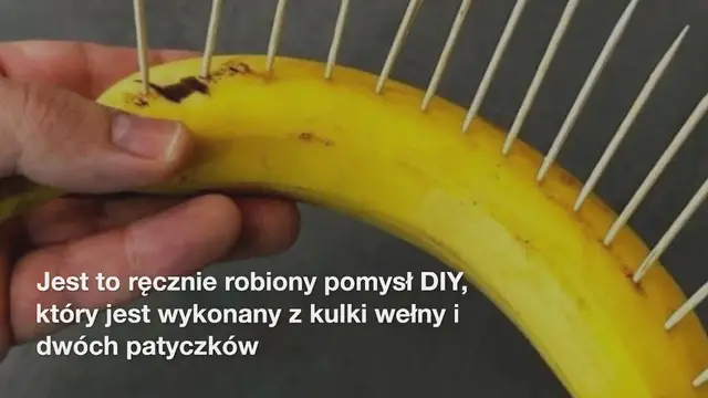 'Video thumbnail for Zaskakujący pomysł rzemieślniczy z prostą kulką wełny i dwoma wacikami'