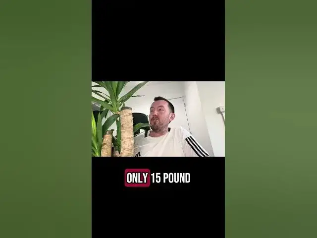 'Video thumbnail for 🌿 Houseplant Number 8 Revealed! Another Beauty for Your Indoor Jungle'