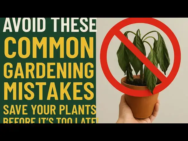 'Video thumbnail for 🚫 Avoid These Common Gardening Mistakes | Save Your Plants Before It’s Too Late!'