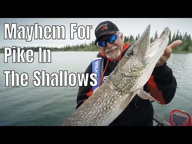 'Video thumbnail for Absolute Mayhem For Pike In The Shallows | Fish'n Canada'