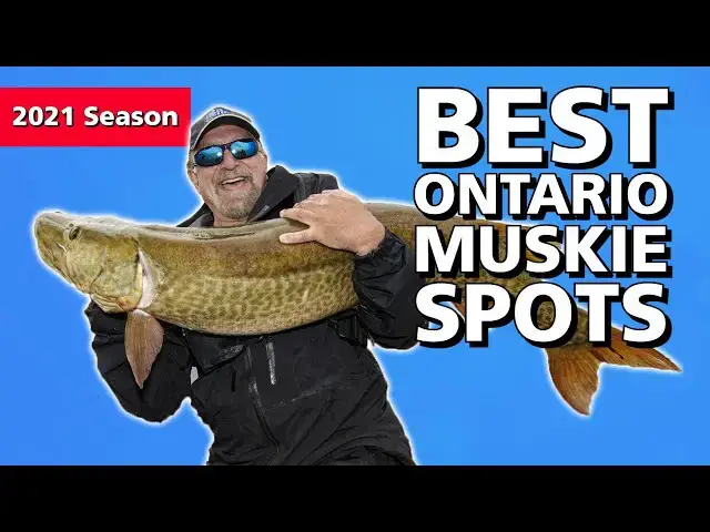 'Video thumbnail for Ontario Muskie: A Lean Mean Fighting Machine'