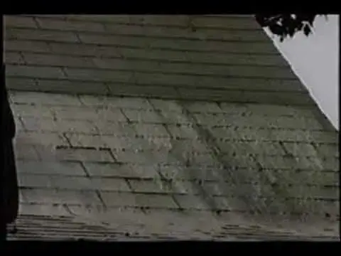 'Video thumbnail for Removing Algae Stains From Roof Shingles'