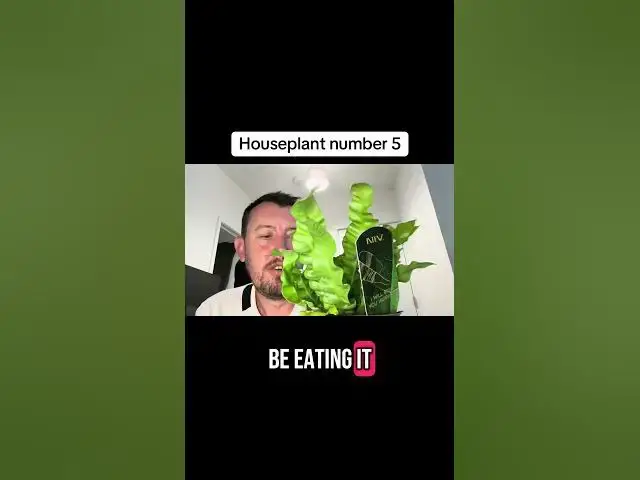 'Video thumbnail for 🌿 Meet Houseplant Number 5! A Stunning Addition to the Indoor Jungle Series'