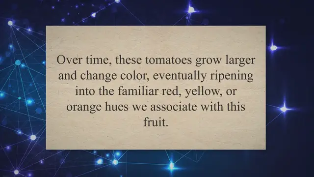 'Video thumbnail for From Seed to Harvest: Do Tomatoes Die After Fruiting? Exploring the Lifespan and Fate of Tomato Plants'