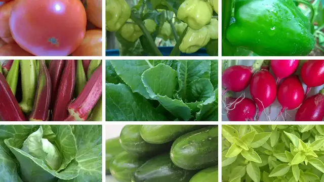 'Video thumbnail for How To Make A Crop Plan (Simplified)'