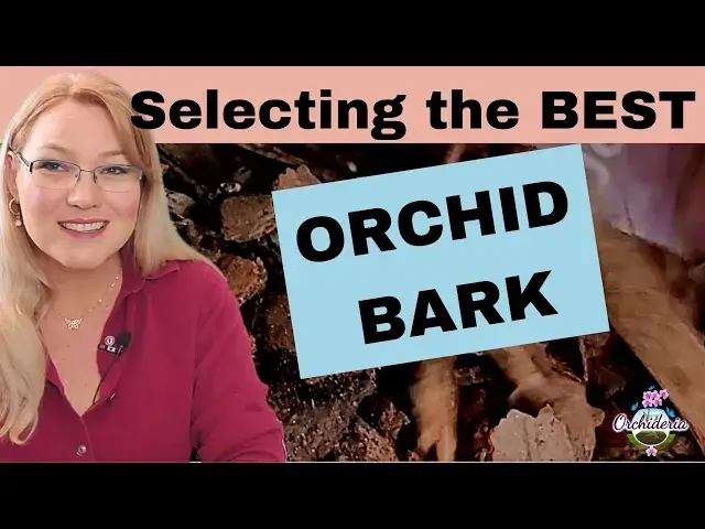 'Video thumbnail for The Perfect Bark for Orchids (Tips to Choose the Right One)'