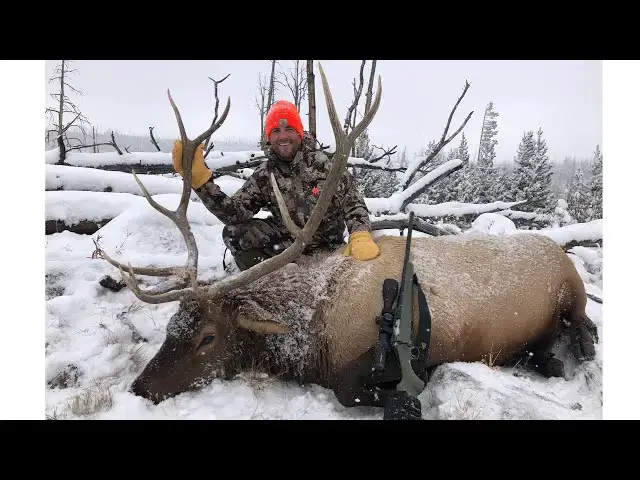 'Video thumbnail for 300 Win Mag vs 6.5 Creedmoor For Elk Hunting'