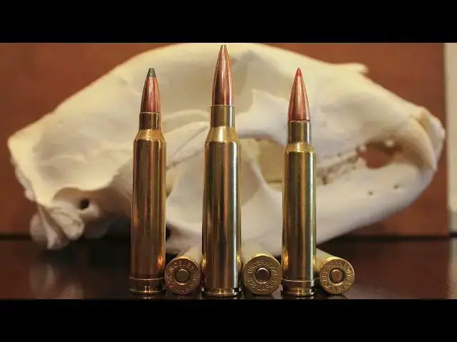 'Video thumbnail for 338 Lapua vs 300 Win Mag vs 338 Win Mag: What's Best For You?'