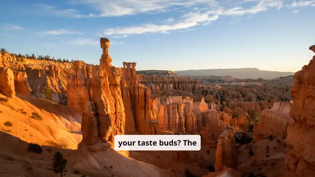 'Video thumbnail for the best gourmet experiences in the united states '