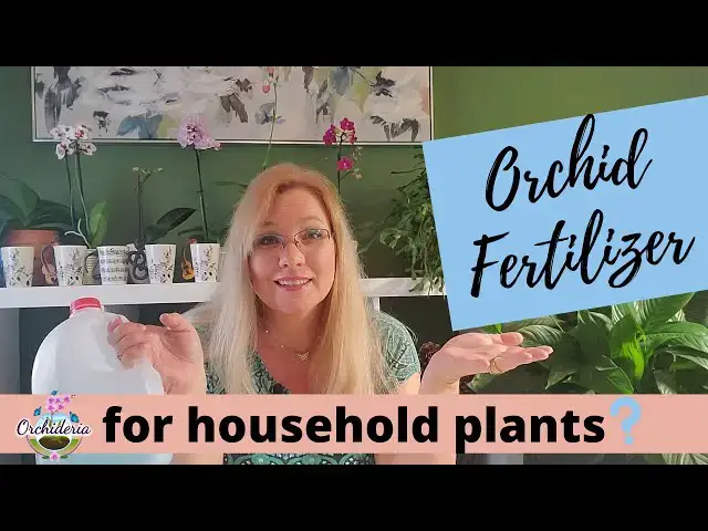 'Video thumbnail for Orchid Fertilizer & Household Plants? Don't Make These Mistakes'