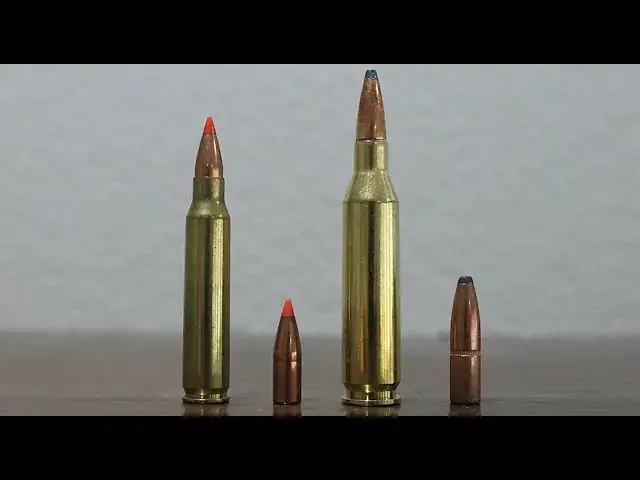 'Video thumbnail for 243 vs 223: Review & Comparison'