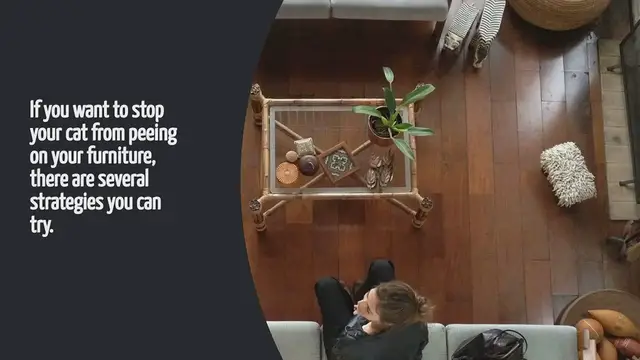 'Video thumbnail for How To Stop Cat From Peeing On Furniture'