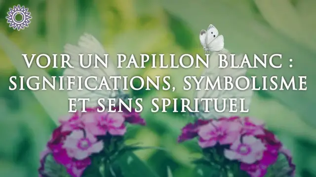 'Video thumbnail for 🦋 VOIR UN PAPILLON BLANC: significations, symbolisme et sens spirituel'
