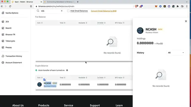 'Video thumbnail for How To Send VIS From Binance To Metamask Wallet (Step by Step)'