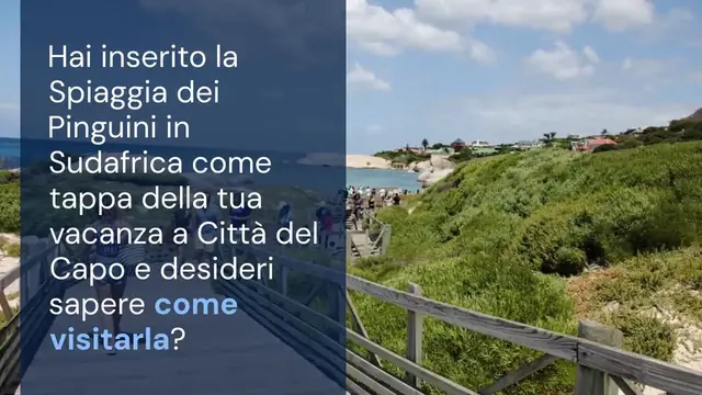 'Video thumbnail for Boulders Beach, come visitare la Spiaggia dei Pinguini'