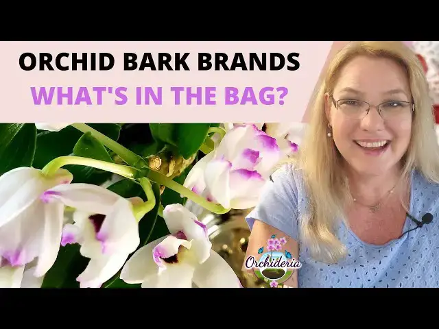 'Video thumbnail for Best Orchid Bark Brands: Comparing 5 Brands'