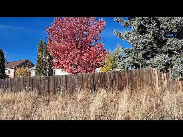 'Video thumbnail for Fall Weather, Colorado Springs, Colorado'