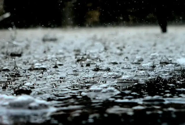 'Video thumbnail for Regen'