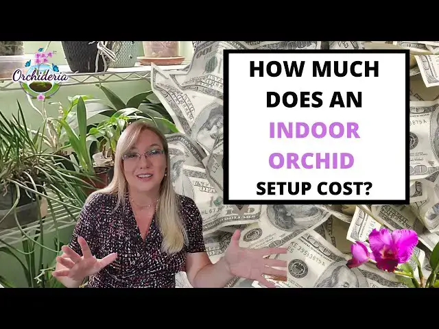 'Video thumbnail for Detailed Guide: What You Need To Setup Your Indoor Orchid Space'