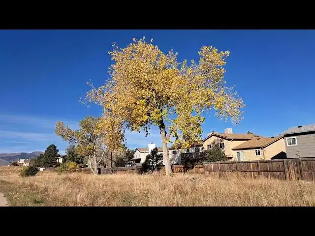 'Video thumbnail for Fall Weather, Colorado Springs, Colorado'