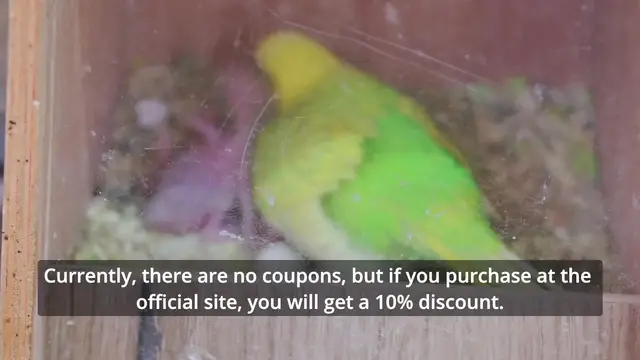 'Video thumbnail for Parrot Farm in Kfar Hess'