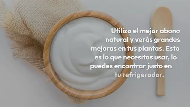 'Video thumbnail for Solo 1 ingrediente, el mejor abono natural para plantas: lo puedes encontrar en la nevera'