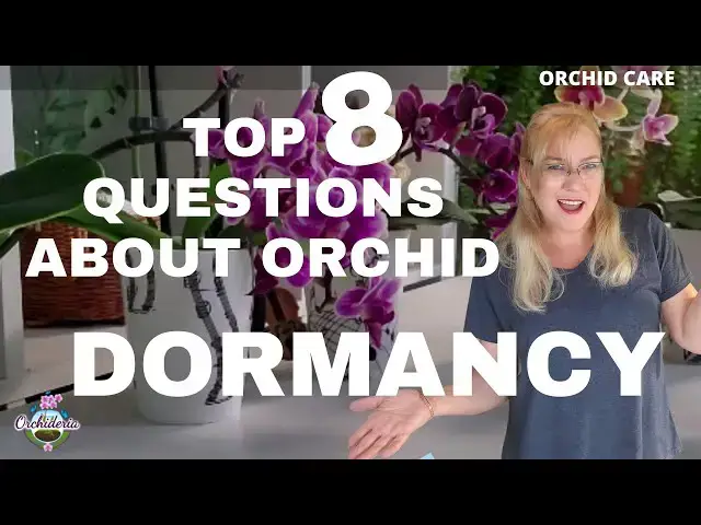 'Video thumbnail for Specific Orchid Care During Dormancy (How to Keep your Orchid Alive While In Dormancy)'