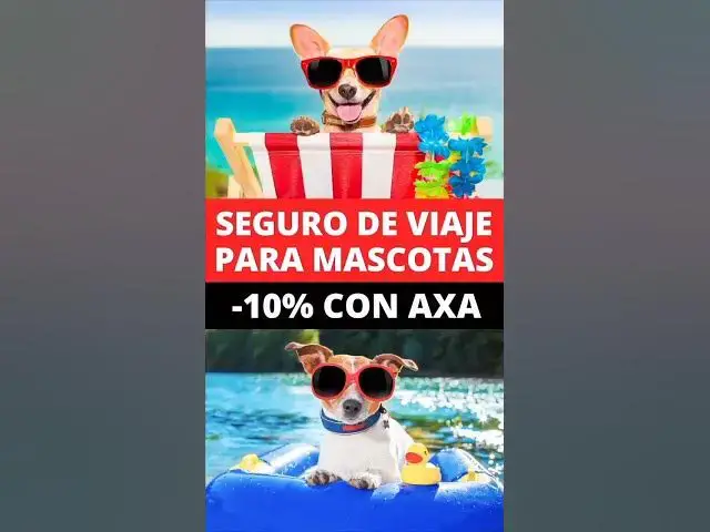 'Video thumbnail for Cupón 10% de DESCUENTO en tu seguro de viaje con mascotas'