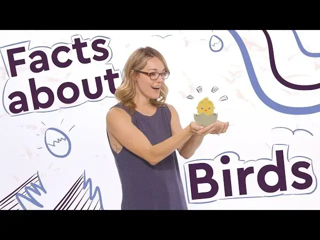 'Video thumbnail for Do Ostriches Really Stick Their Heads in The Sand?'