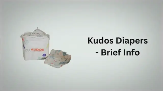 'Video thumbnail for Kudos Diapers Net Worth, Shark Tank Appearance & Business'