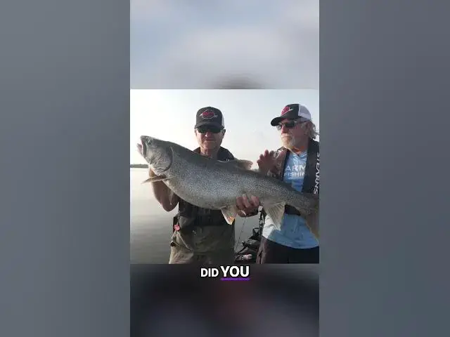 'Video thumbnail for Finding Fish on an Unknown Lake'