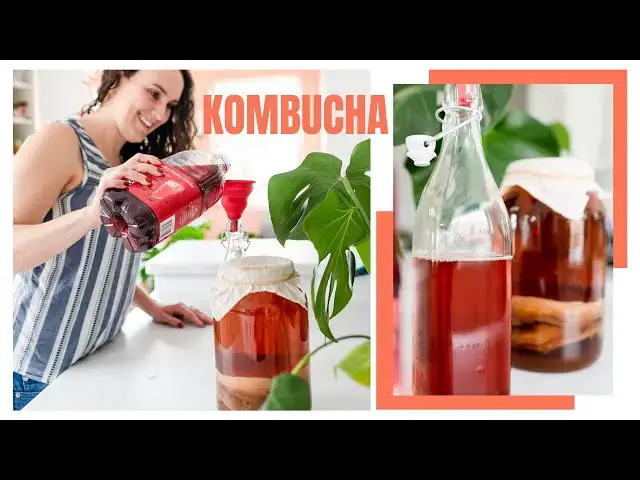 'Video thumbnail for How To Make Flippin' Fizzy Kombucha'