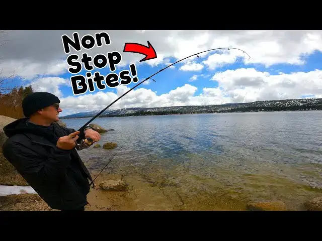 'Video thumbnail for Shore Fishing Leads to Non-Stop Catches! Big Bear Lake Trout Fishing'