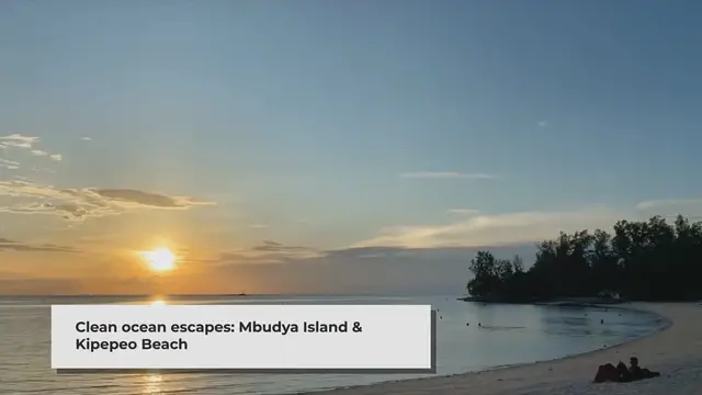 'Video thumbnail for Kipepeo Beach and Village'