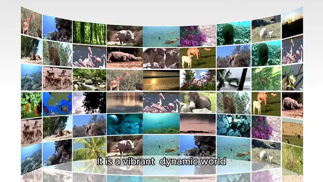 'Video thumbnail for Earth'