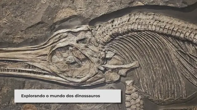'Video thumbnail for 20 Fatos Surpreendentes Sobre Dinossauros Que Você Precisa Saber'