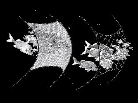 'Video thumbnail for The Nets Began To Break But Later They Didn't Break- Why?'