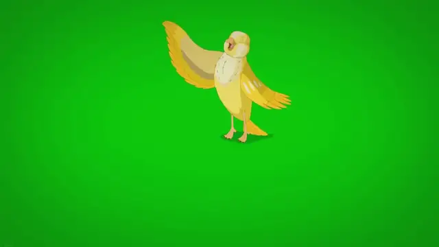 'Video thumbnail for Do Ducks Like Music? (How They Rock the Pond!) 2023 » Petybird.com'