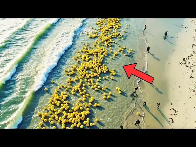 'Video thumbnail for Hundreds Of Yellow Balls Wash Up — Then The Coast Guard Finds Out Why'