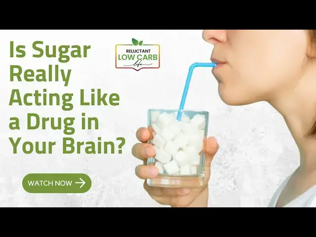 'Video thumbnail for Is Sugar Really Acting Like a Drug in Your Brain?'