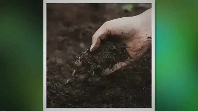 'Video thumbnail for How To Kill Bugs In Your Soil: 5 Tips For Organic Pest Control'