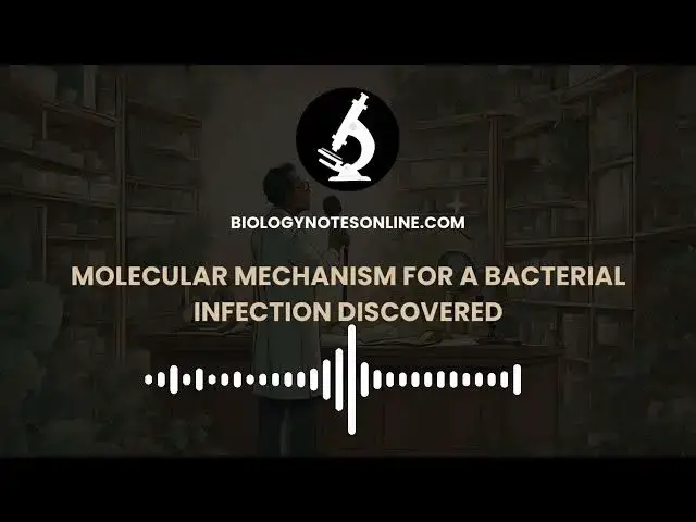 'Video thumbnail for Molecular Mechanism for a Bacterial Infection Discovered'