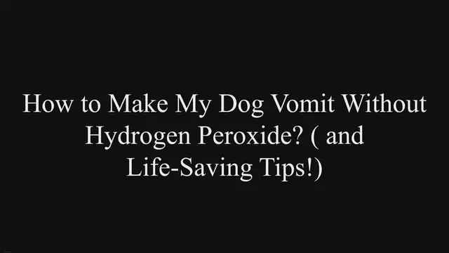 'Video thumbnail for How to Make My Dog Vomit Without Hydrogen Peroxide? (& Life-Saving Tips!)'