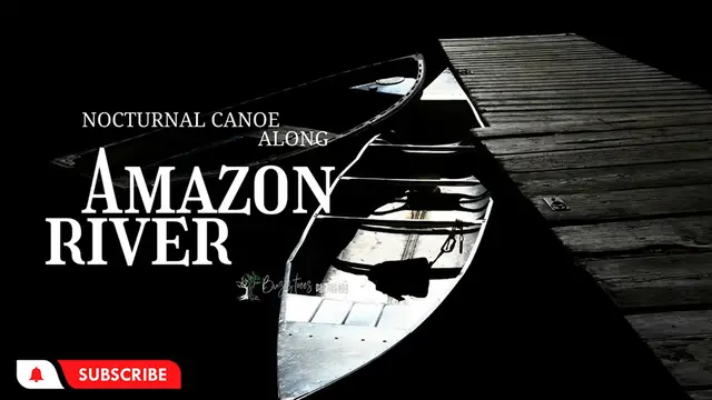 'Video thumbnail for Canoe Night - The Sound of Amazon Jungle - Birds , Forest Sounds'