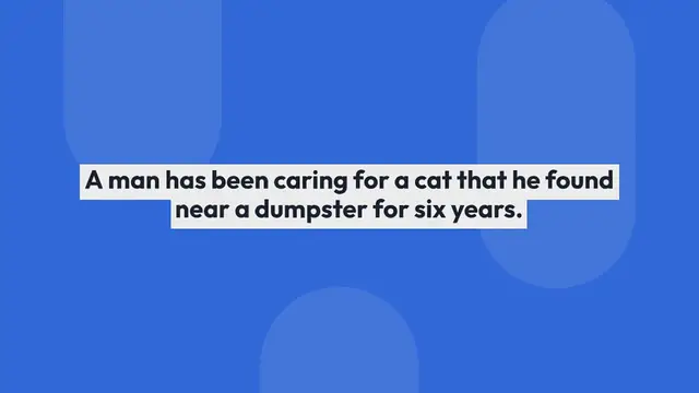 'Video thumbnail for Man Lets Dumpster Kitty Sleep In His Car and Has Been Caring For Her for 6 Years…'