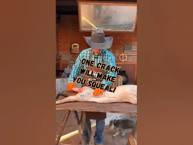 'Video thumbnail for Call the Hog Chiropractor!'
