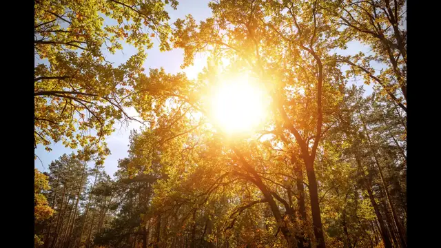 'Video thumbnail for Importance of the Sun on Earth: influence on life'