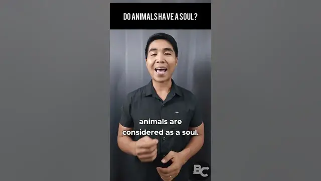 'Video thumbnail for Do animals have a soul?'