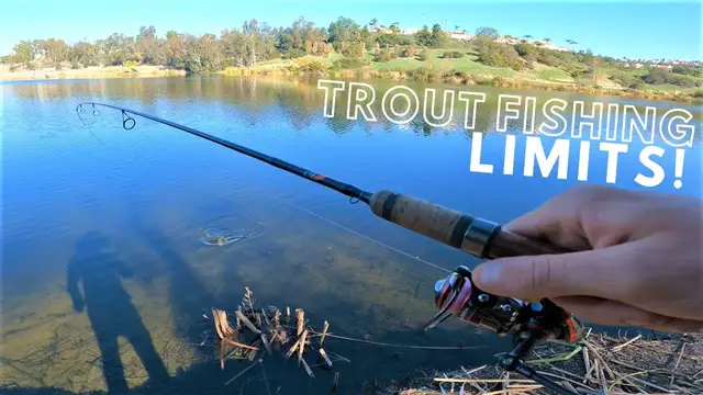 'Video thumbnail for Trout Fishing OC Parks || Laguna Niguel Regional Park Fishing || Part 1'