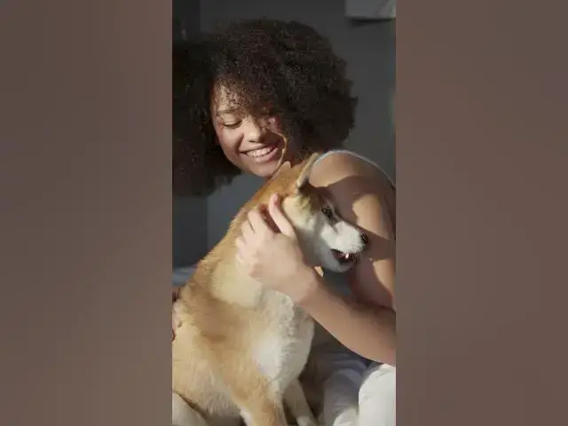 'Video thumbnail for Best of Human  Pets Relationships #4'